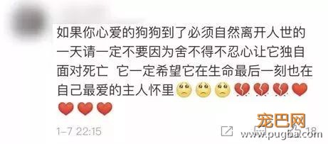 上帝的院子里野雀纷飞，于是把在机场驱鸟的派珀接走了-14.jpeg