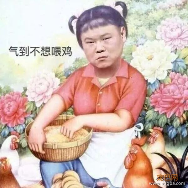 有时候，我真的分不清谁是畜生-10.jpeg