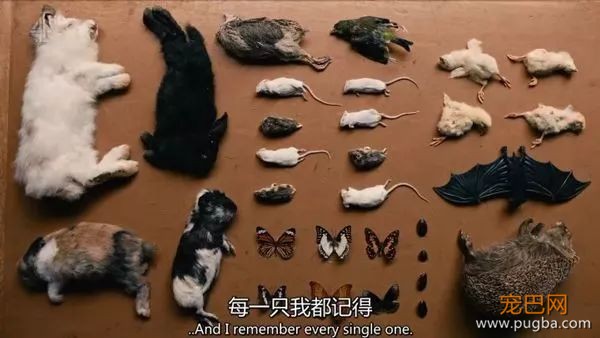 有时候，我真的分不清谁是畜生-31.jpeg