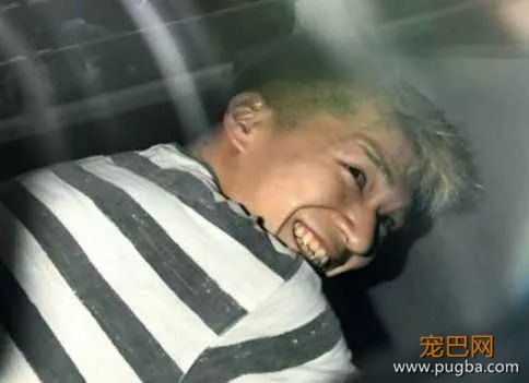 有时候，我真的分不清谁是畜生-36.jpeg