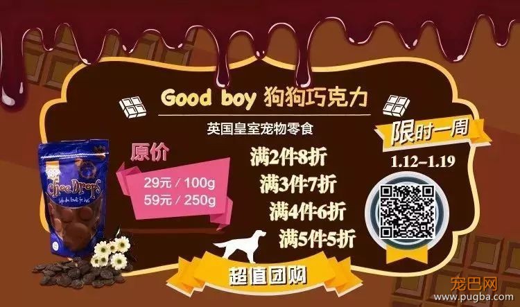 给狗子煮条鱼吧，吃饱了才有力气当咸鱼-3.jpeg