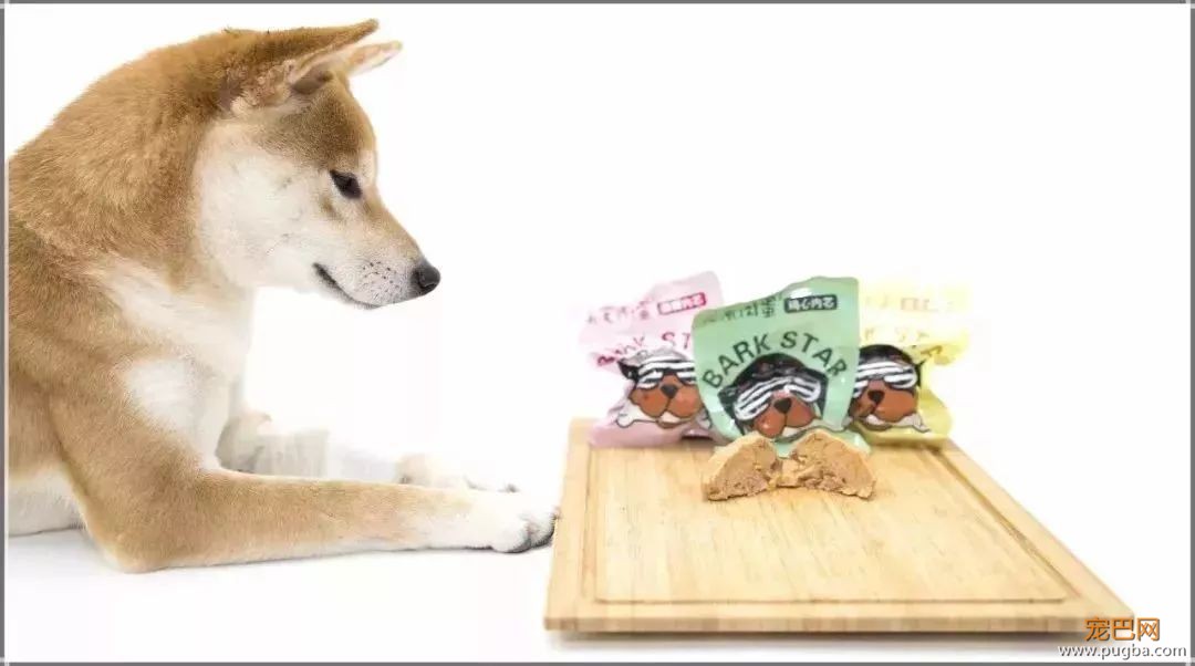 给狗子煮条鱼吧，吃饱了才有力气当咸鱼-4.jpeg