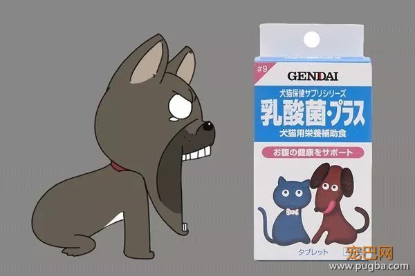 地表最强の乳酸菌，让软便拉稀彻底远离狗狗-6.jpeg