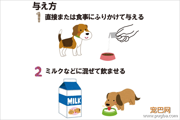 地表最强の乳酸菌，让软便拉稀彻底远离狗狗-9.png