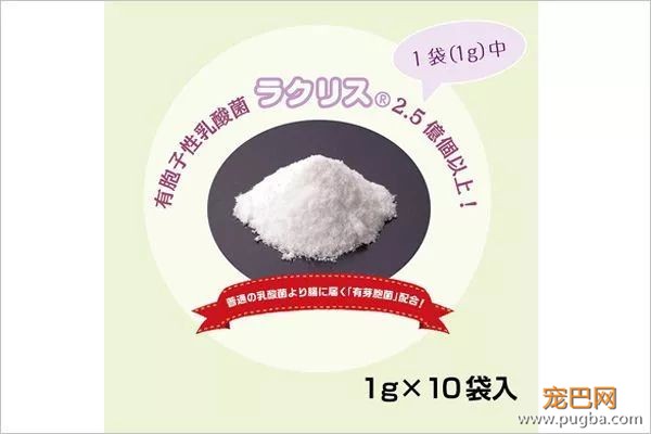 地表最强の乳酸菌，让软便拉稀彻底远离狗狗-7.jpeg