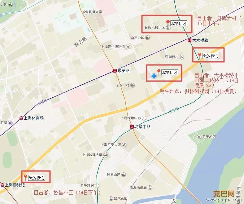 上海寻犬 | 烧饼！！没打辞职报告就走了！！-17.jpeg