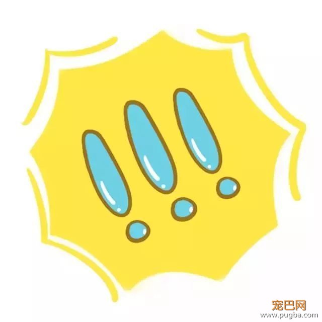 上海寻犬 | 烧饼！！没打辞职报告就走了！！-19.jpeg