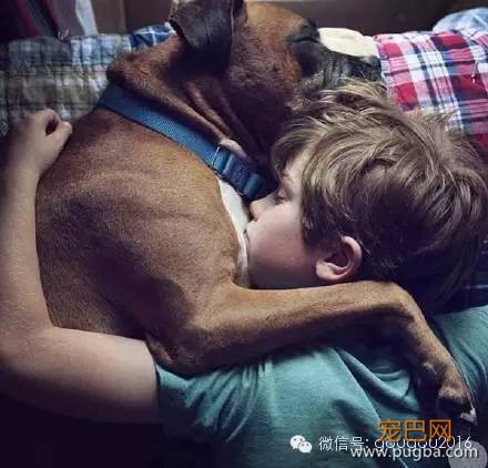 养狗如家人，这也是我们唯一一次选择亲人的机会-3.jpeg