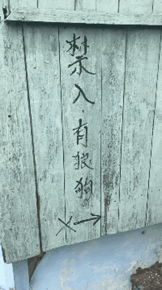 那些本来打算养来看家的狗，最后都…-1.gif