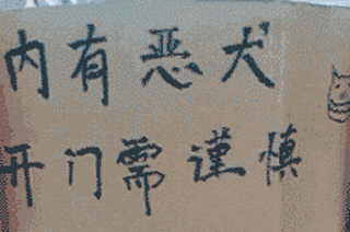 那些本来打算养来看家的狗，最后都…-9.gif