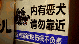 那些本来打算养来看家的狗，最后都…-13.gif