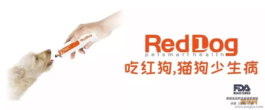 那些本来打算养来看家的狗，最后都…-19.jpg