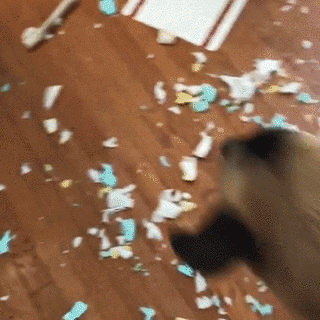 那些本来打算养来看家的狗，最后都…-22.gif