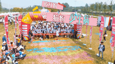 那些本来打算养来看家的狗，最后都…-23.gif