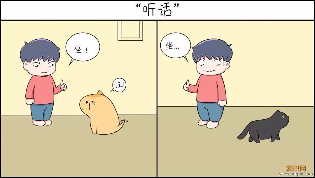 这种猫狗双全的人才是真正的人生赢家-2.jpeg