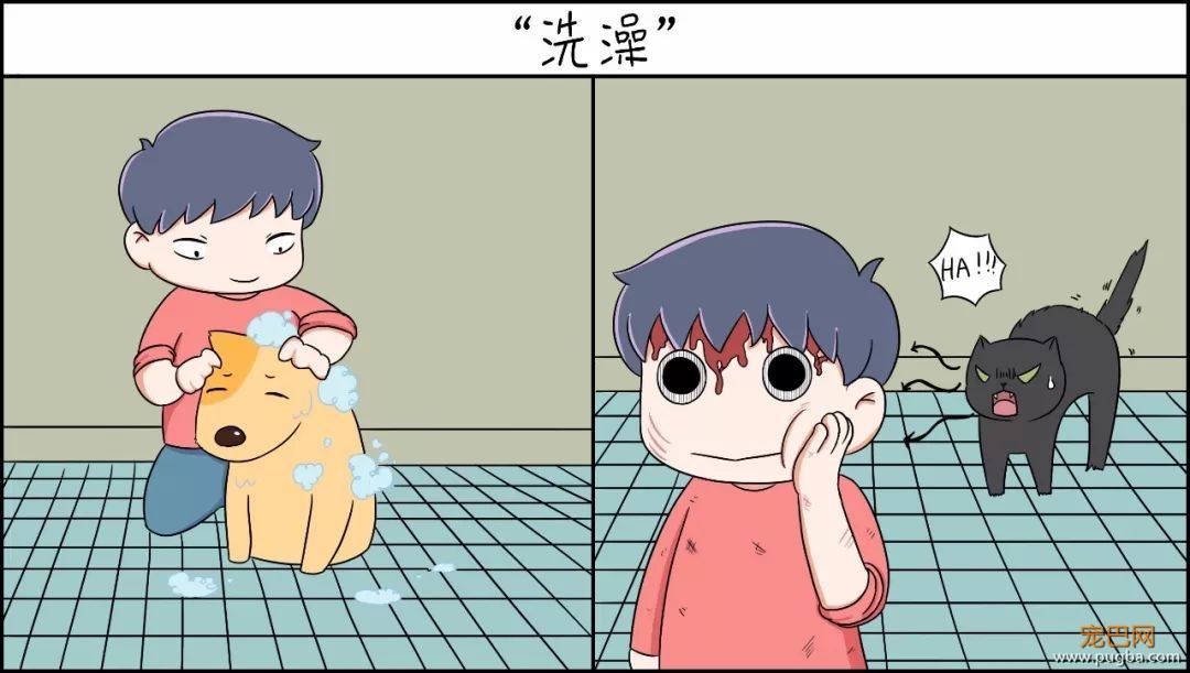 这种猫狗双全的人才是真正的人生赢家-3.jpeg