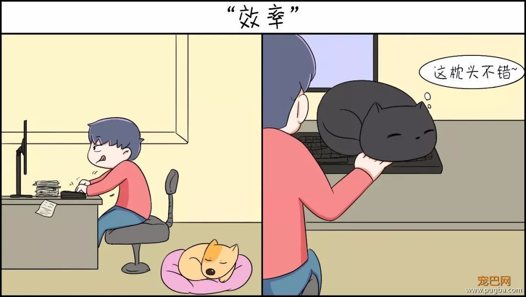 这种猫狗双全的人才是真正的人生赢家-6.jpeg