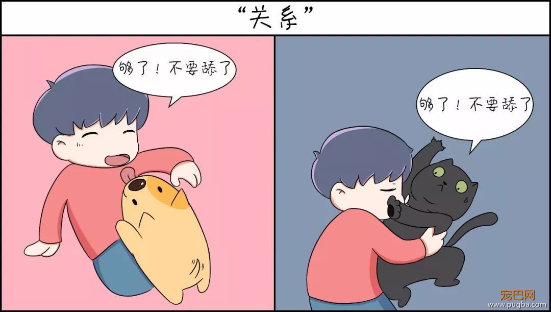 这种猫狗双全的人才是真正的人生赢家-7.jpeg