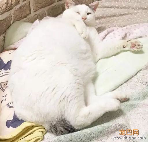 天塌下来我没办法，但你塌下来有我顶着-4.jpeg