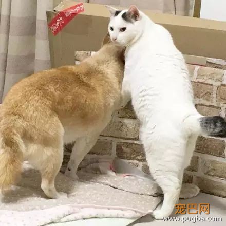 天塌下来我没办法，但你塌下来有我顶着-19.jpeg