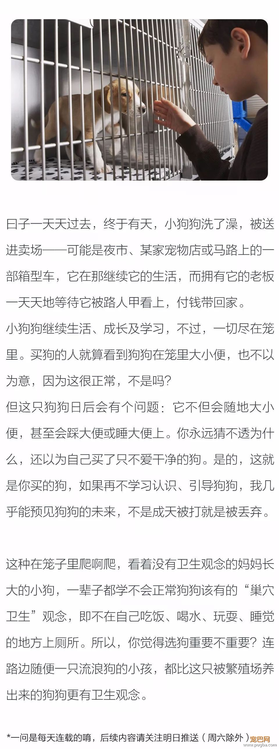 狗狗小时候难免不懂事，为何长大了还是教不听？①-2.jpeg