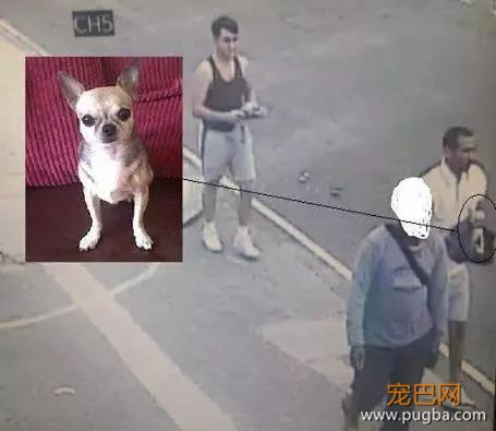 用了这些黑科技装备，他们通过找狗发家致富-7.jpeg