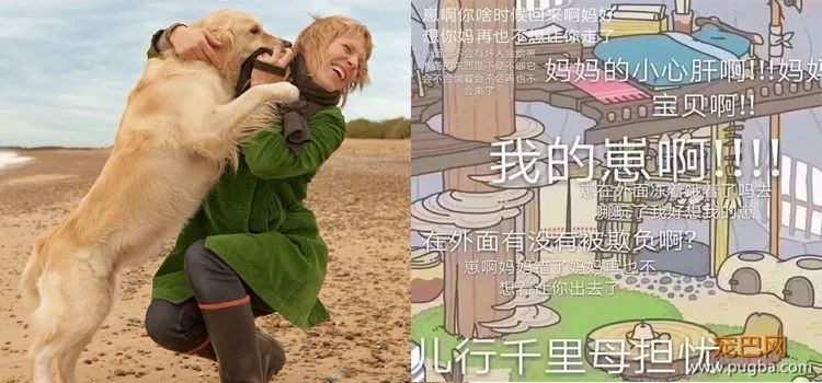 养蛙不如养狗，狗狗教你爱与责任-7.jpeg