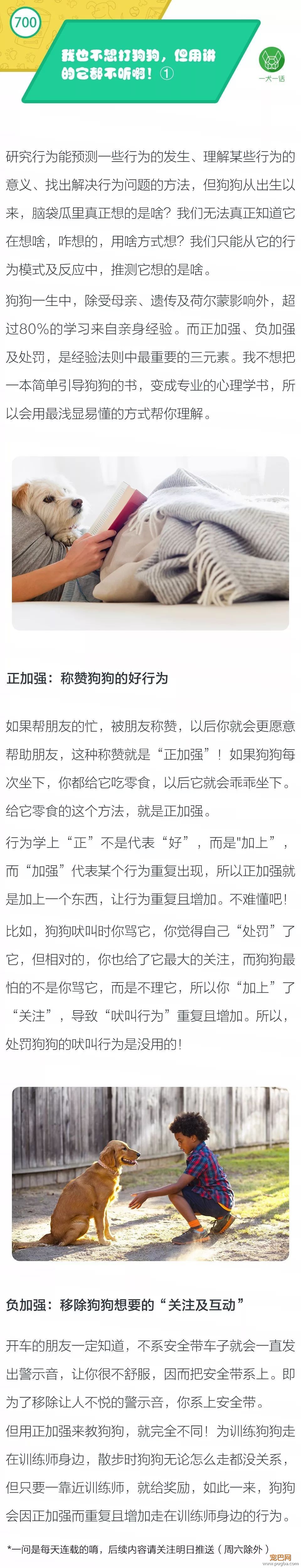我也不想打狗狗，但用讲的它都不听啊！①-1.jpeg