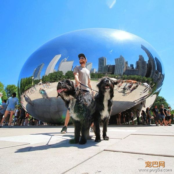 洛杉矶大帅哥沙漠救狗，1年后他们完成了3万英里的旅行-28.jpeg