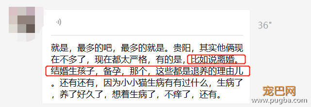 扒一扒，那些奇葩的弃养理由！-6.png