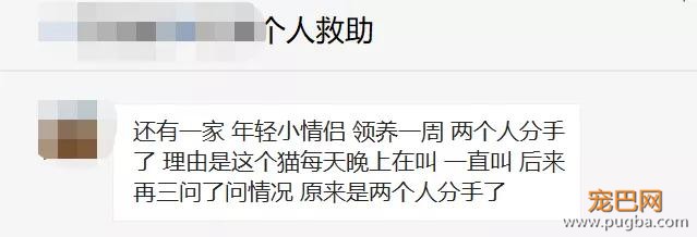 扒一扒，那些奇葩的弃养理由！-3.jpg