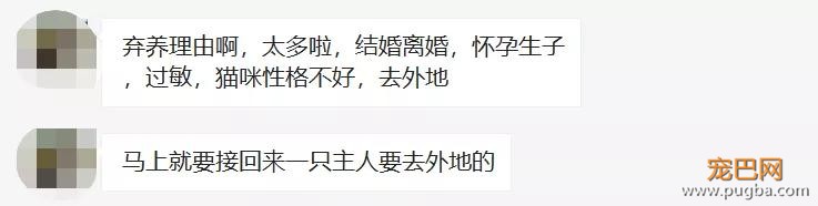 扒一扒，那些奇葩的弃养理由！-5.jpg