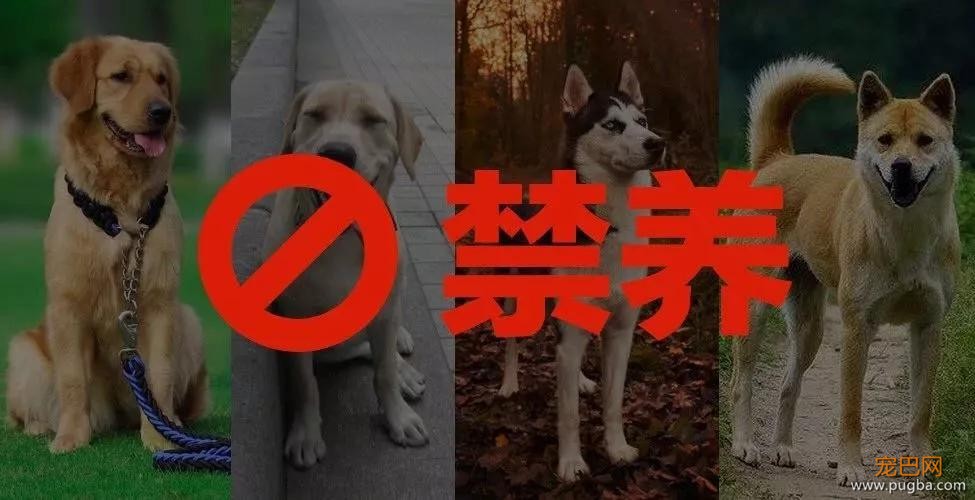 扒一扒，那些奇葩的弃养理由！-2.jpg