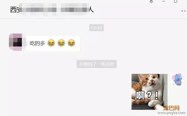 扒一扒，那些奇葩的弃养理由！-10.jpg