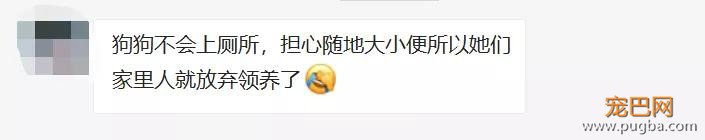 扒一扒，那些奇葩的弃养理由！-17.jpg