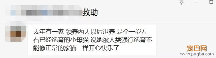 扒一扒，那些奇葩的弃养理由！-18.jpg