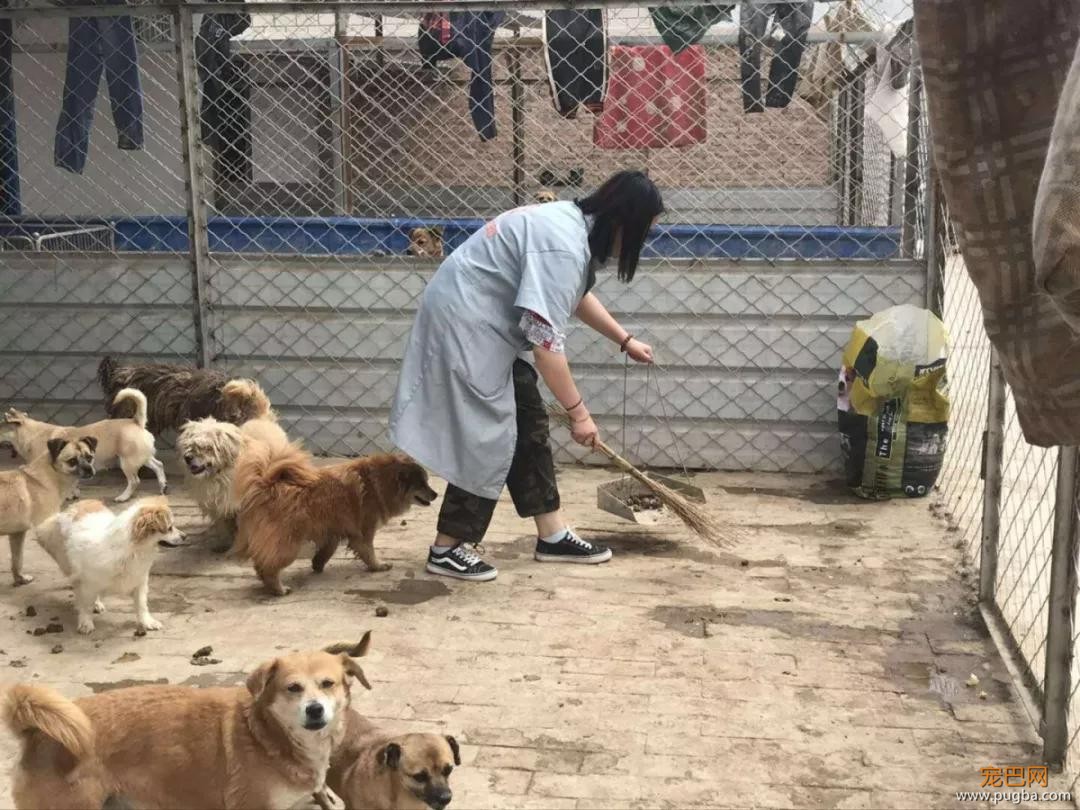 扒一扒，那些奇葩的弃养理由！-29.jpg