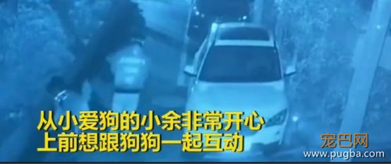 为了大家的安全，请不要让陌生人随意靠近狗狗！-2.jpeg