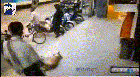 为了大家的安全，请不要让陌生人随意靠近狗狗！-6.gif