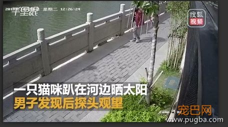 为了大家的安全，请不要让陌生人随意靠近狗狗！-10.jpeg