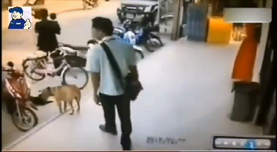 为了大家的安全，请不要让陌生人随意靠近狗狗！-7.gif