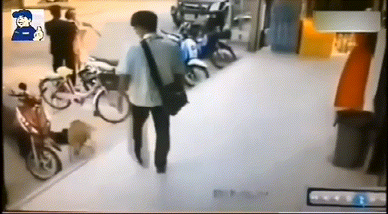 为了大家的安全，请不要让陌生人随意靠近狗狗！-8.gif