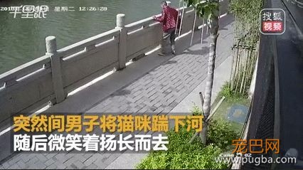 为了大家的安全，请不要让陌生人随意靠近狗狗！-11.jpeg