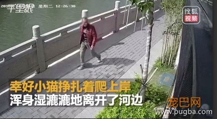 为了大家的安全，请不要让陌生人随意靠近狗狗！-12.jpeg