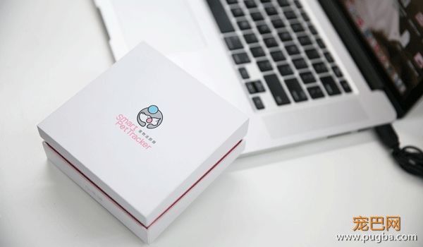 有些狗曾梦想走天涯，后来戴了“小毛球”没去成-5.jpeg