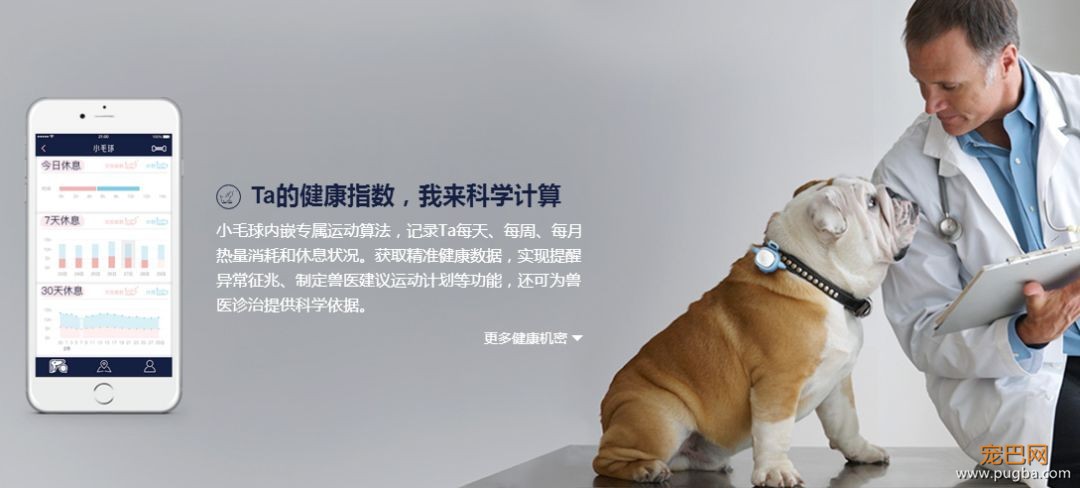 有些狗曾梦想走天涯，后来戴了“小毛球”没去成-12.jpeg