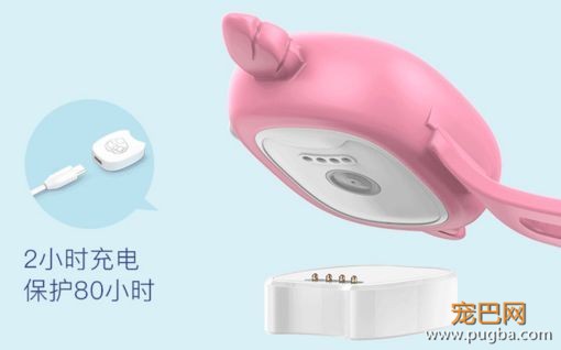 有些狗曾梦想走天涯，后来戴了“小毛球”没去成-15.jpeg