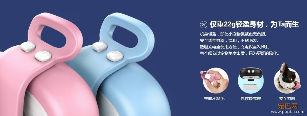 有些狗曾梦想走天涯，后来戴了“小毛球”没去成-18.jpeg