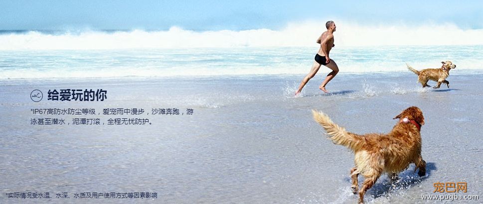 有些狗曾梦想走天涯，后来戴了“小毛球”没去成-17.jpeg