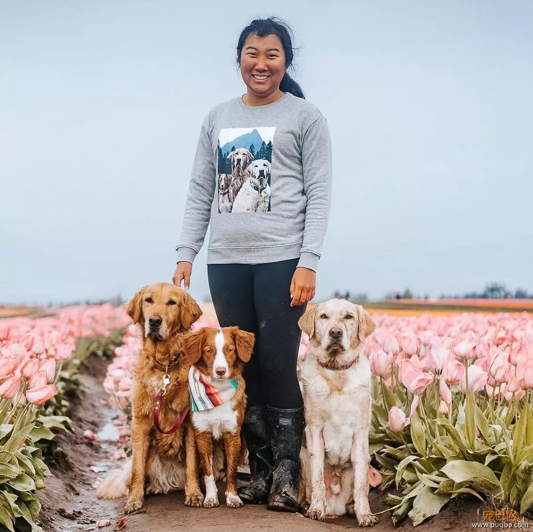 金毛入选导盲犬后患上抑郁症，被基地开除后摇身一变成旅游博主！-16.jpg
